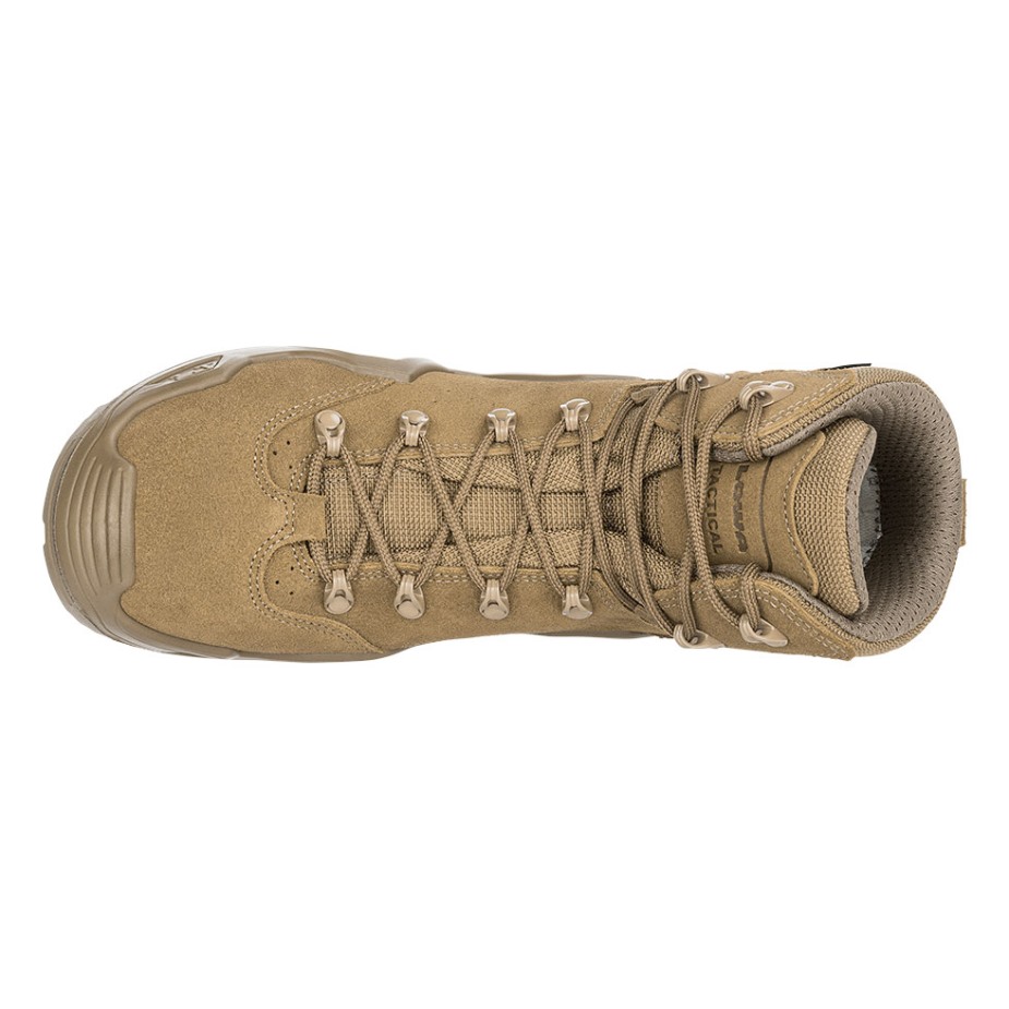 Z-6s Gtxc Low Coyote Op